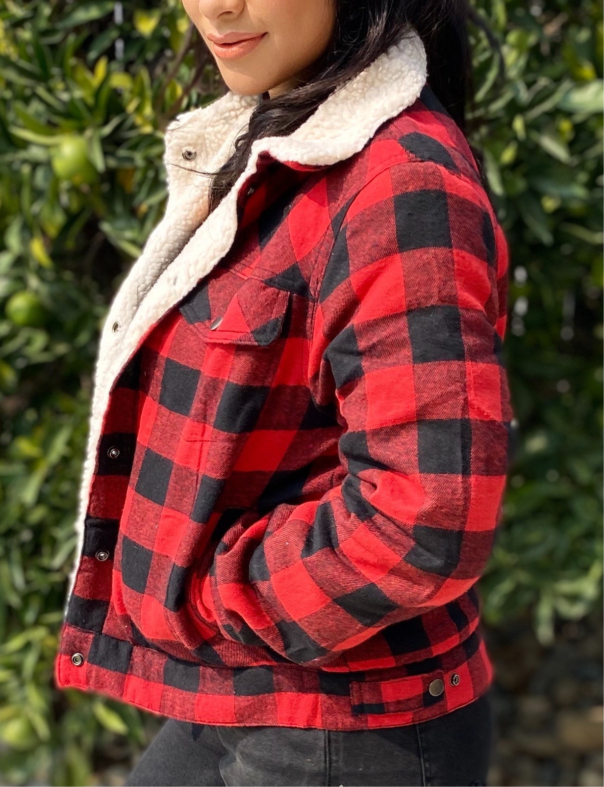 Tahoe Cabin Fever Outdoor Plaid is Print Winter Jacket (red)