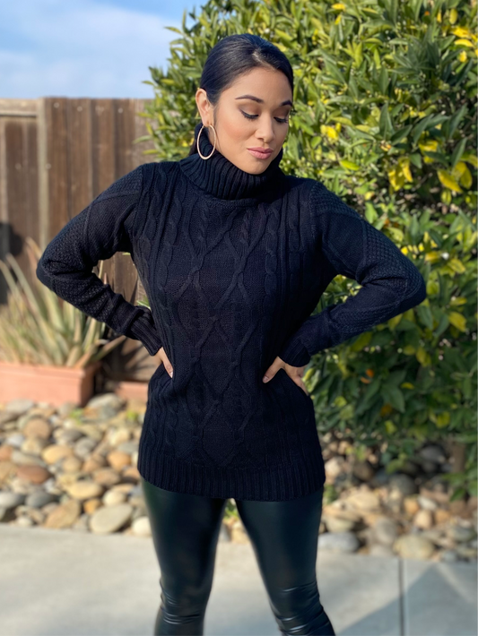 Chelsea Chunky Turtleneck Sweater (black)
