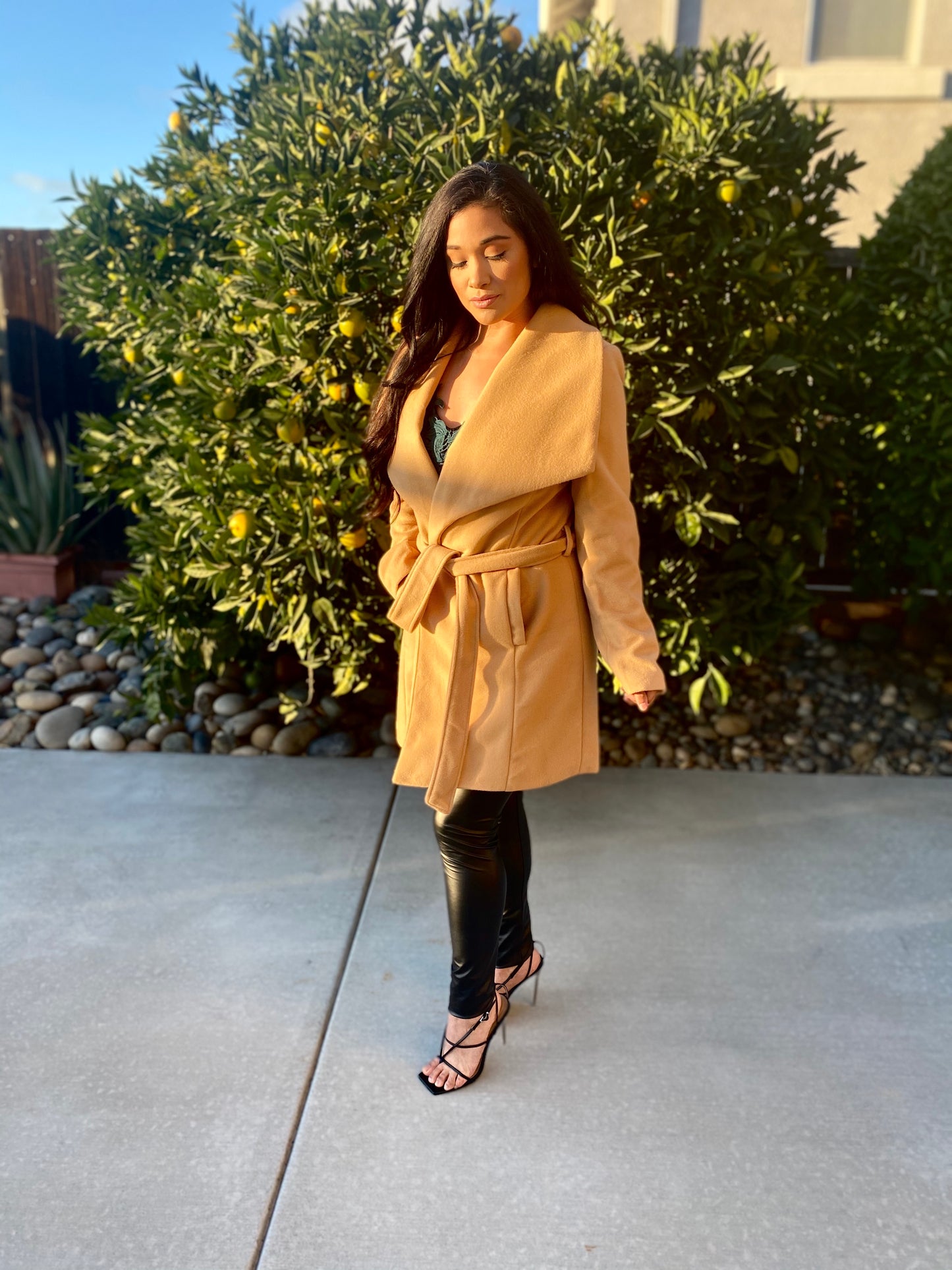 Pretty In Nude Structured Belted Coat (camel)